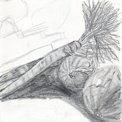 Sketches